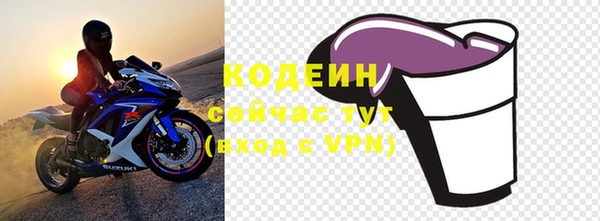 2c-b Бородино