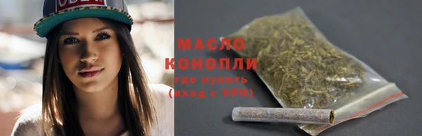 2c-b Бородино