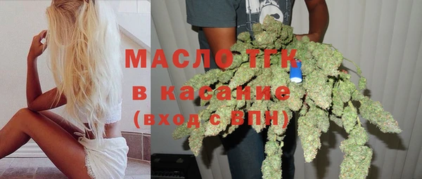 2c-b Бородино