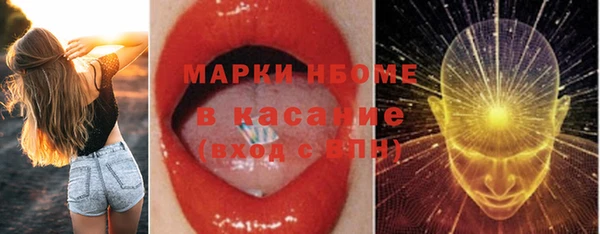 2c-b Бородино
