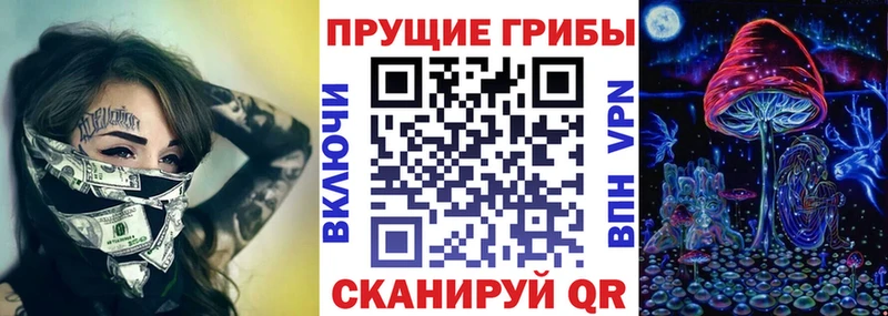 Купить закладки  Бор  Псилоцибиновые грибы MAGIC MUSHROOMS 